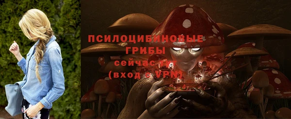 меф Гусиноозёрск
