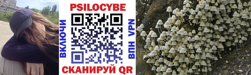 Купить где  Катайск  Галлюциногенные грибы мухоморы 